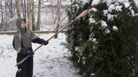 Zobacz, jak chronić rośliny przed śniegiem